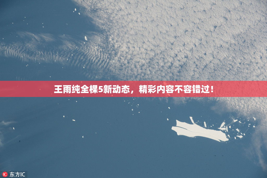 王雨纯全棵5新动态，精彩内容不容错过！