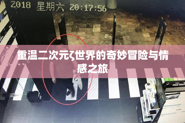 重温二次元ζ世界的奇妙冒险与情感之旅