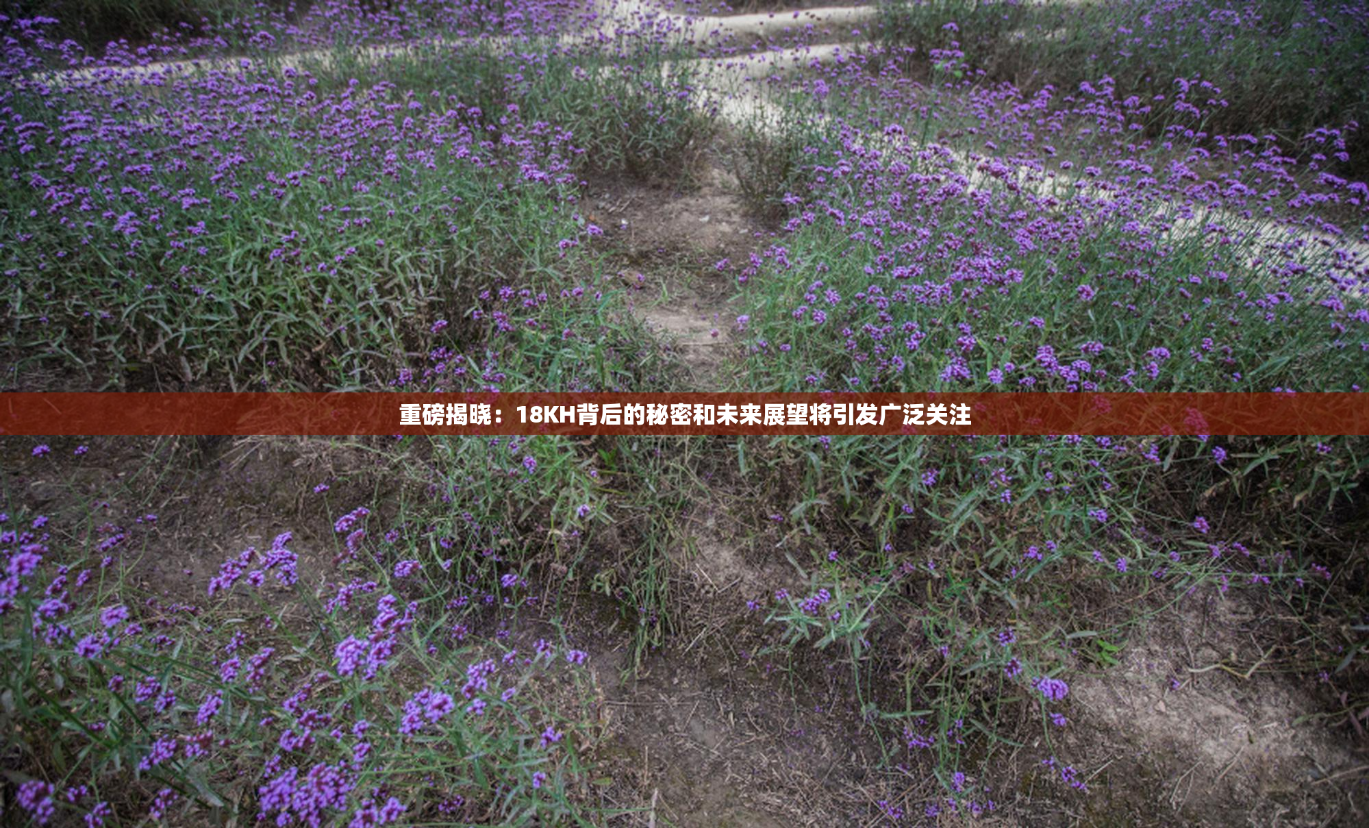 重磅揭晓：18KH背后的秘密和未来展望将引发广泛关注