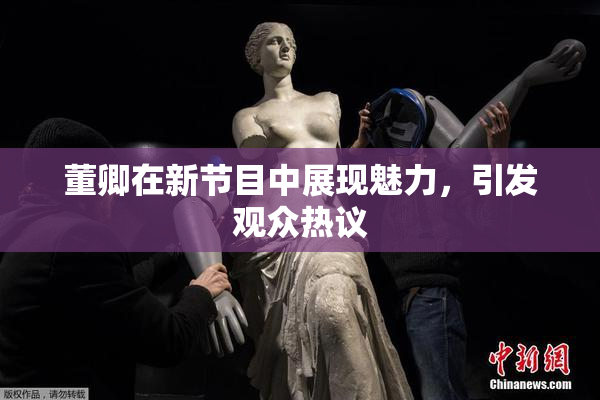 董卿在新节目中展现魅力，引发观众热议