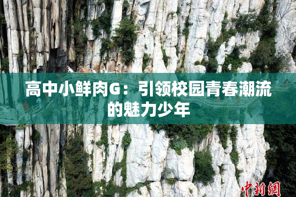 高中小鲜肉G：引领校园青春潮流的魅力少年