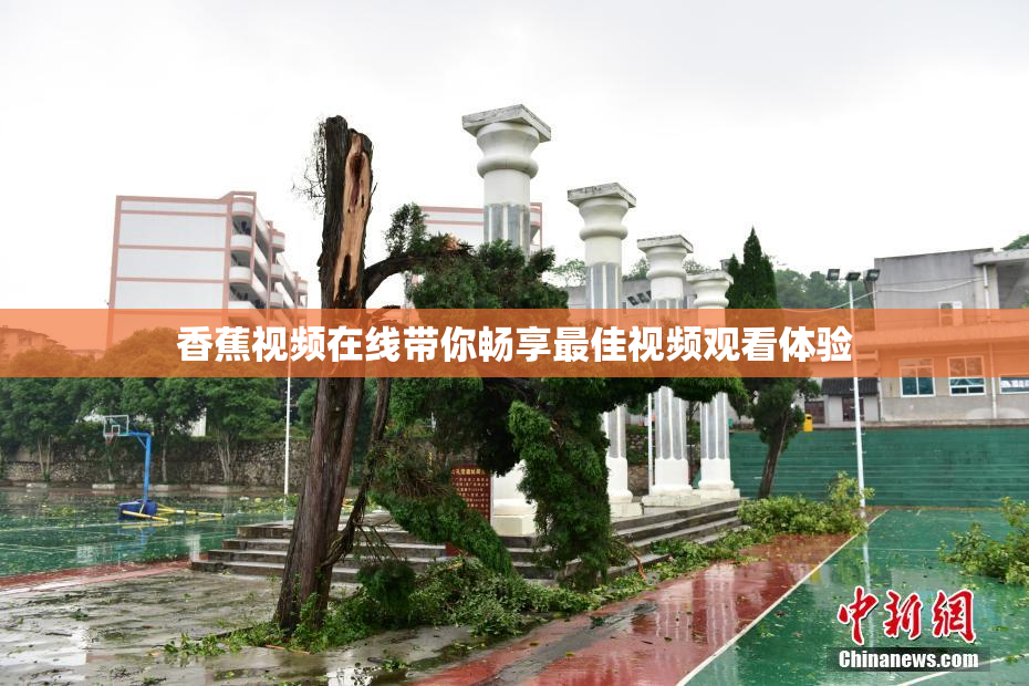 香蕉视频在线带你畅享最佳视频观看体验