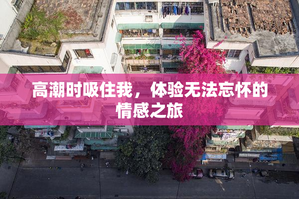 高潮时吸住我，体验无法忘怀的情感之旅