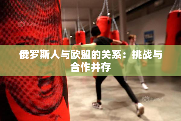 俄罗斯人与欧盟的关系：挑战与合作并存