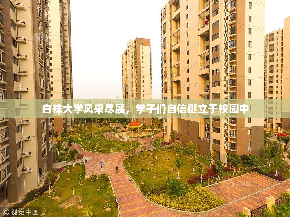 白袜大学风采尽展，学子们自信挺立于校园中