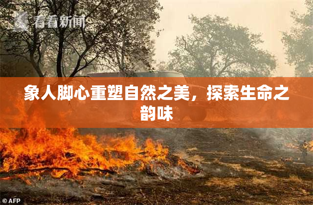 象人脚心重塑自然之美，探索生命之韵味