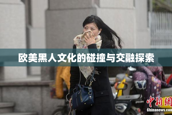 欧美黑人文化的碰撞与交融探索