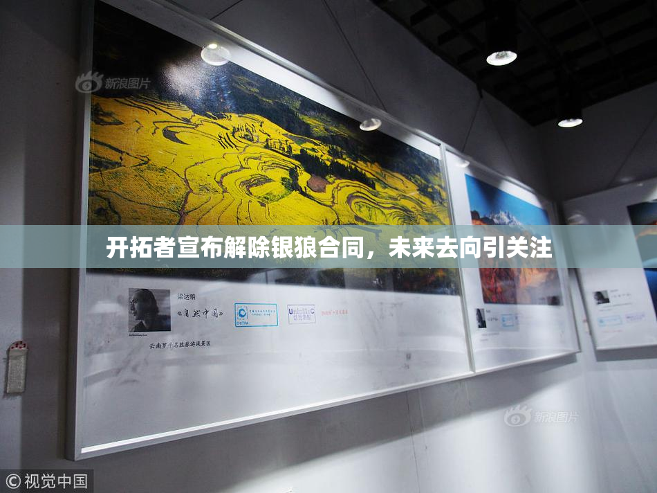 开拓者宣布解除银狼合同，未来去向引关注