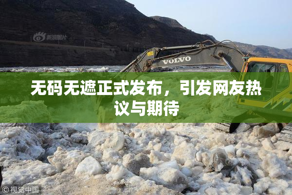 无码无遮正式发布，引发网友热议与期待