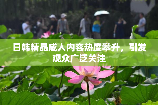 日韩精品成人内容热度攀升，引发观众广泛关注