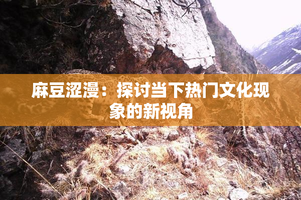 麻豆涩漫：探讨当下热门文化现象的新视角