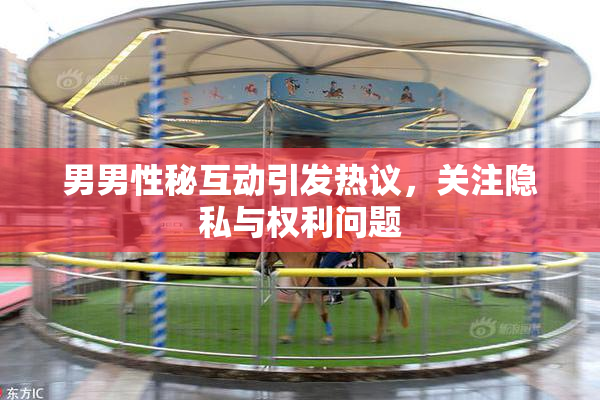 男男性秘互动引发热议，关注隐私与权利问题