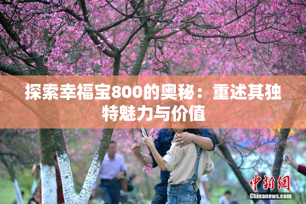 探索幸福宝800的奥秘：重述其独特魅力与价值