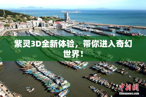 紫灵3D全新体验，带你进入奇幻世界！