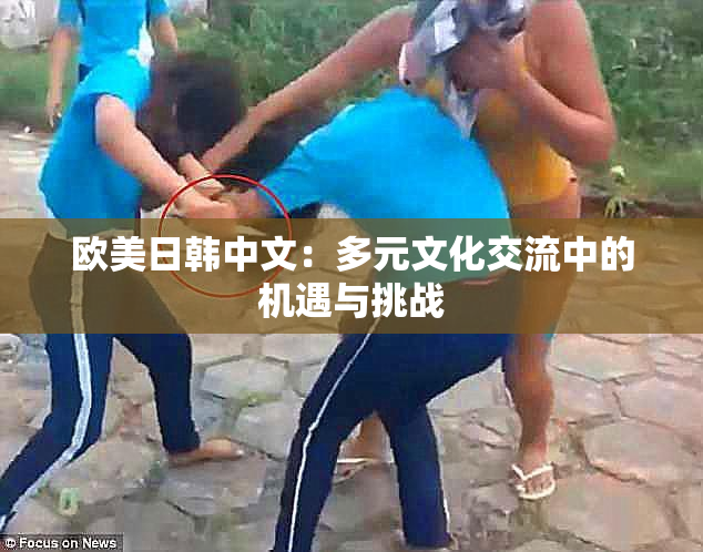 欧美日韩中文：多元文化交流中的机遇与挑战