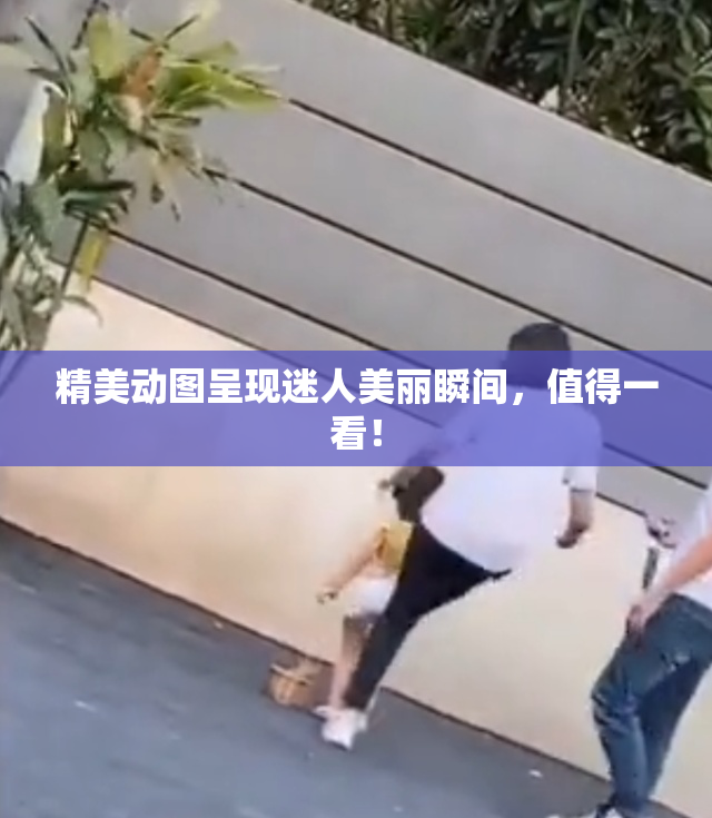 精美动图呈现迷人美丽瞬间，值得一看！