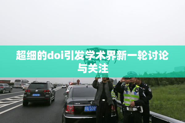 超细的doi引发学术界新一轮讨论与关注