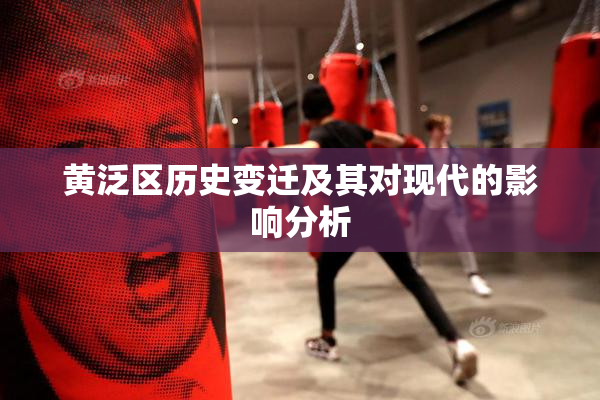 黄泛区历史变迁及其对现代的影响分析