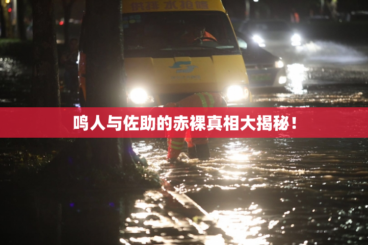 鸣人与佐助的赤裸真相大揭秘！