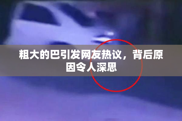 粗大的巴引发网友热议，背后原因令人深思