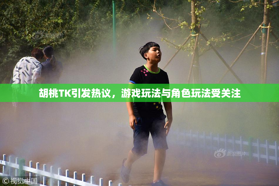 胡桃TK引发热议，游戏玩法与角色玩法受关注