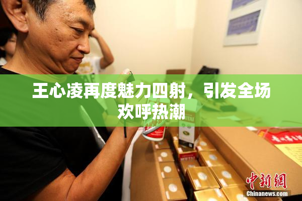 王心凌再度魅力四射，引发全场欢呼热潮