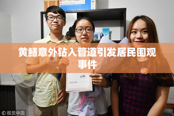 黄鳝意外钻入管道引发居民围观事件