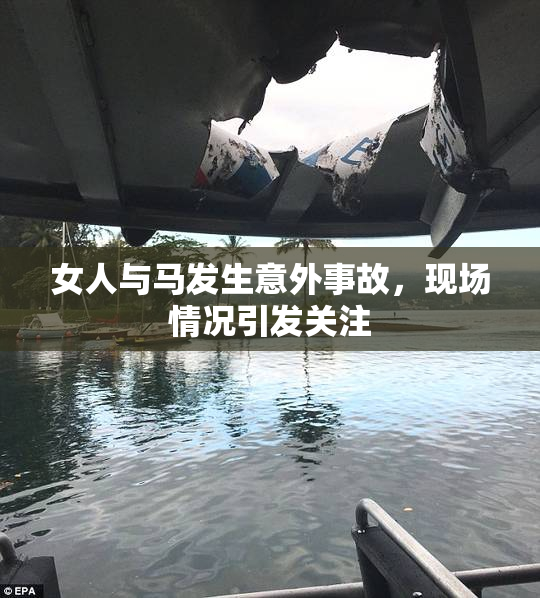女人与马发生意外事故，现场情况引发关注