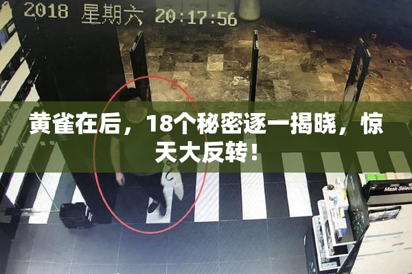 黄雀在后，18个秘密逐一揭晓，惊天大反转！