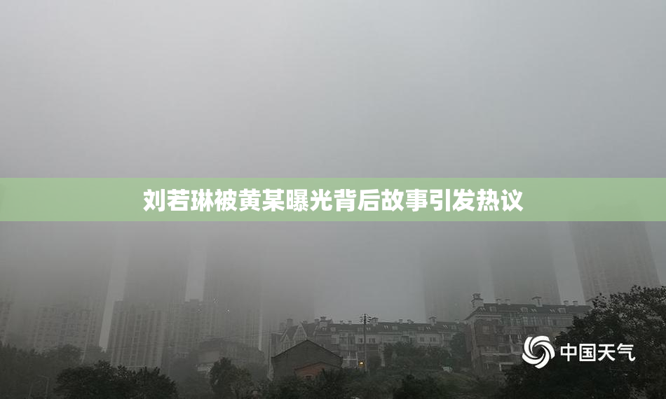 刘若琳被黄某曝光背后故事引发热议