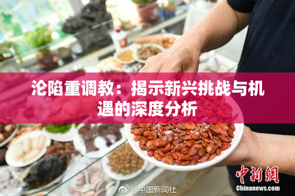 沦陷重调教：揭示新兴挑战与机遇的深度分析