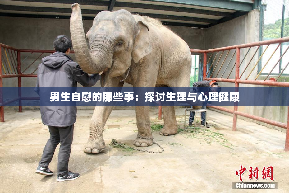 男生自慰的那些事：探讨生理与心理健康