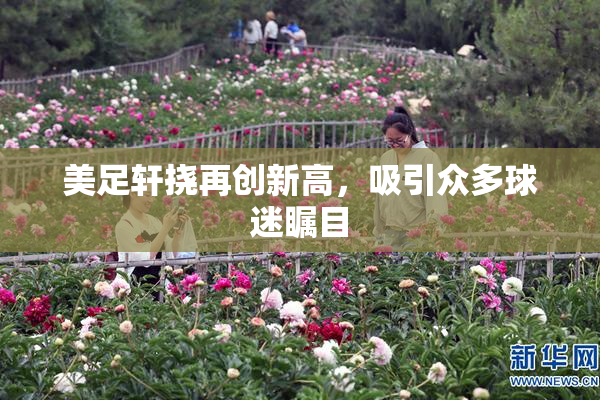 美足轩挠再创新高，吸引众多球迷瞩目