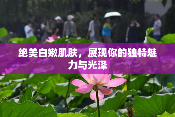 绝美白嫩肌肤，展现你的独特魅力与光泽
