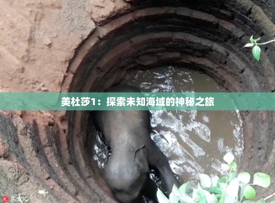 美杜莎1：探索未知海域的神秘之旅
