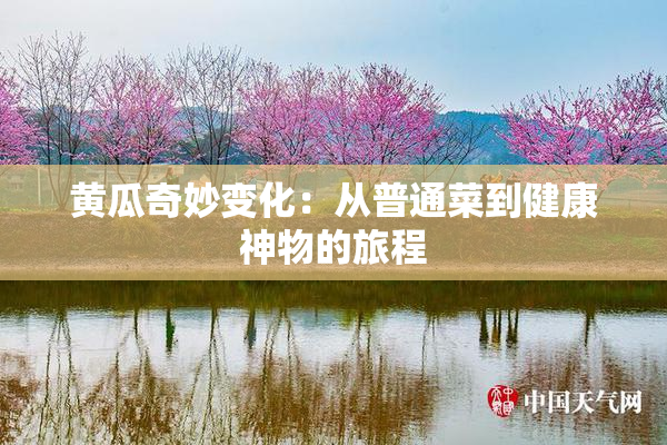黄瓜奇妙变化：从普通菜到健康神物的旅程