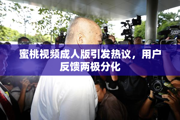蜜桃视频成人版引发热议，用户反馈两极分化