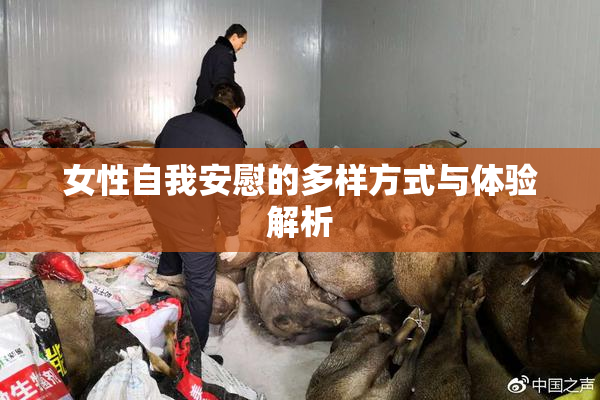 女性自我安慰的多样方式与体验解析