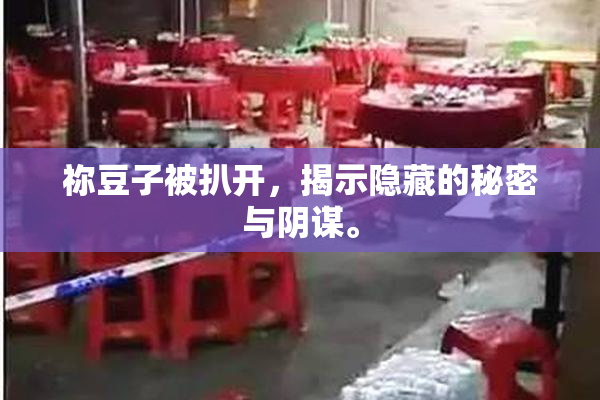 祢豆子被扒开，揭示隐藏的秘密与阴谋。