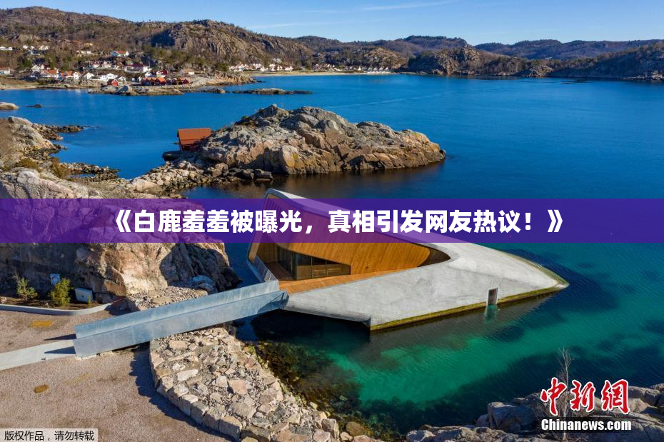 《白鹿羞羞被曝光，真相引发网友热议！》