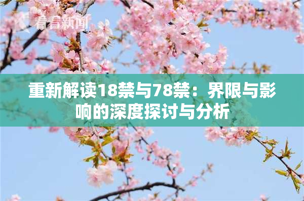 重新解读18禁与78禁：界限与影响的深度探讨与分析