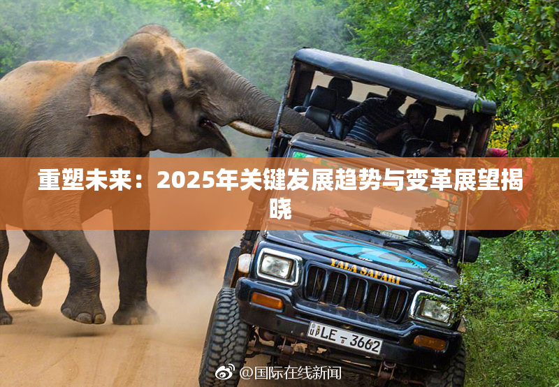 重塑未来：2025年关键发展趋势与变革展望揭晓