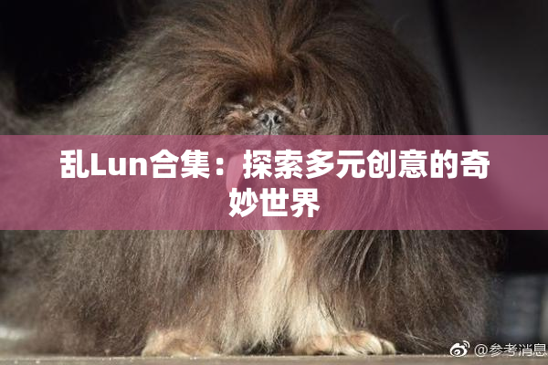 乱Lun合集：探索多元创意的奇妙世界