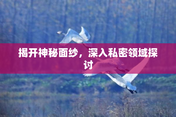 揭开神秘面纱，深入私密领域探讨