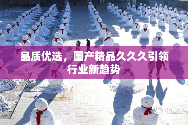 品质优选，国产精品久久久引领行业新趋势