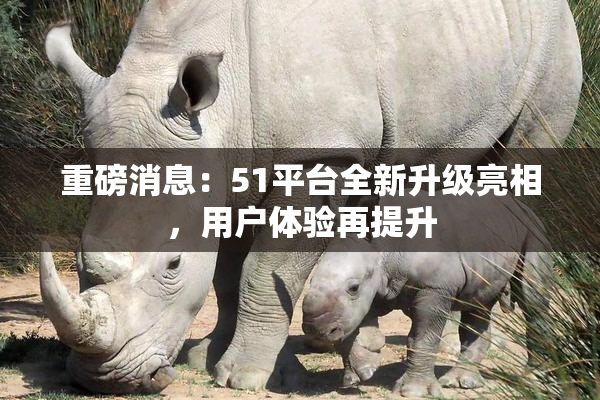 重磅消息：51平台全新升级亮相，用户体验再提升