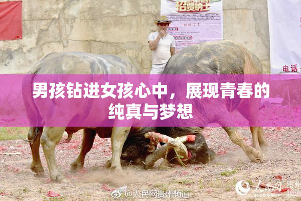 男孩钻进女孩心中，展现青春的纯真与梦想