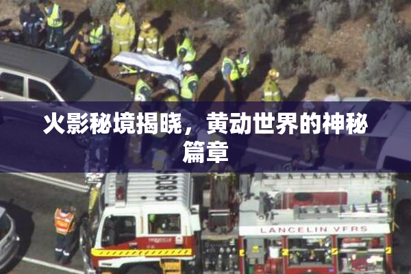 火影秘境揭晓，黄动世界的神秘篇章