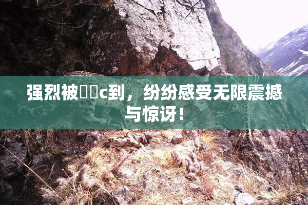 强烈被❌‌c到，纷纷感受无限震撼与惊讶！