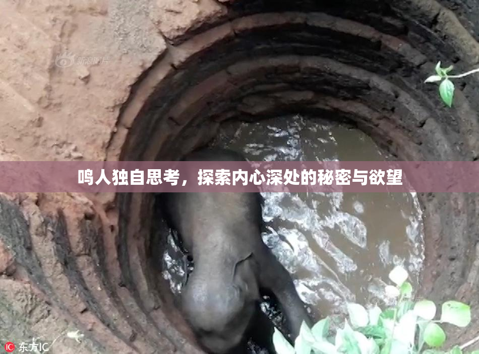 鸣人独自思考，探索内心深处的秘密与欲望